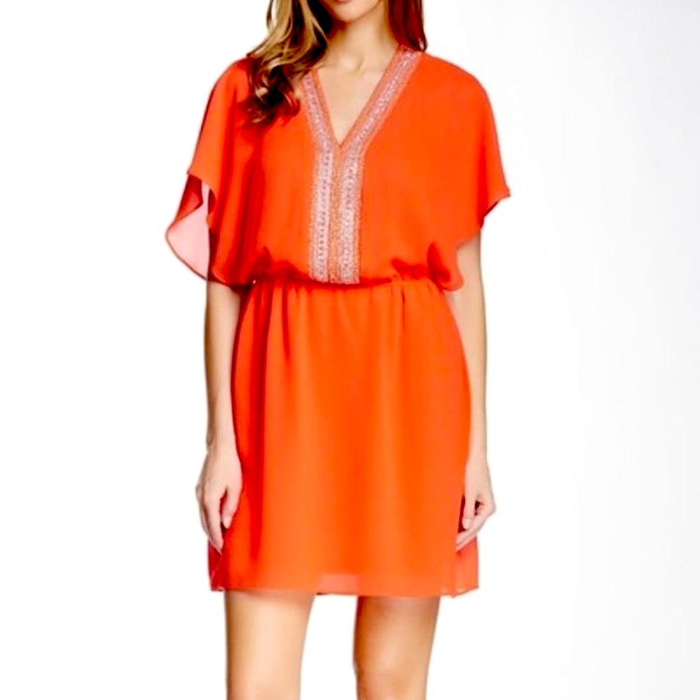 Belle Badgley Mishka Dress Size 4